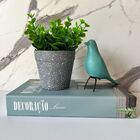 Kit Decoração Livro Moderno + Vaso Cinza + Pássaro Verde