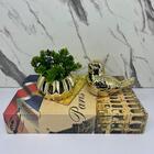 Kit Decoração Livro Paises + Vaso Cerâmico + Pássaro Dourado