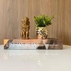 Kit Decoração Livro Que Abre, Escultura Leão E Enfeite Vaso