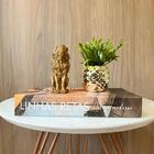 Kit Decoração Livro Que Abre, Escultura Leão E Enfeite Vaso