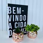 Kit Decoração Sala 3 Peças Livro Caixa + Dois Vasos Rosê