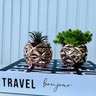 Kit Decoração Sala 3 Peças Livro Caixa + Dois Vasos Rosê