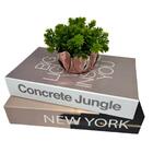 Kit Decoração Vaso De Vidro Rose + 2 Livros Na Cor Marrom