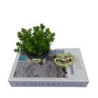 Kit Decorativo Livro, Vaso Tripé De Poá E Coração Dourado