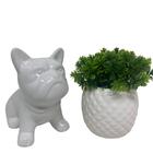 Kit Decorativo Vaso Trabalhado E Bulldog Grande Branco