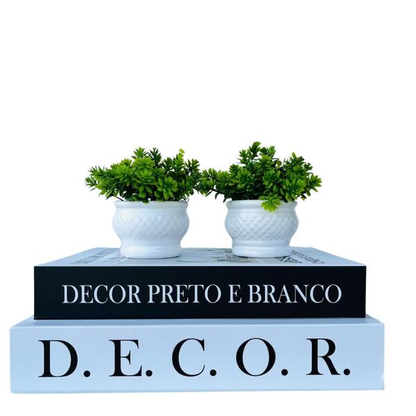 Kit Dois Livros Decorativo Porta Objetos E Dupla Vaso Branco