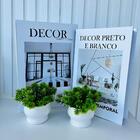Kit Dois Livros Decorativo Porta Objetos E Dupla Vaso Branco