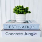 Kit Dois Livros Decorativo Porta Objetos E Vaso Branco Decor