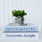 Kit Dois Livros Decorativo Porta Objetos E Vaso Prata Decor