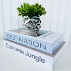 Kit Dois Livros Decorativo Porta Objetos E Vaso Prata Decor