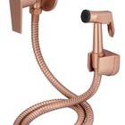 Kit Ducha Higienica Bronze