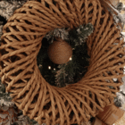 Kit Enfeite para Árvore de Natal Noel com Galhos Marrom 3 Peças 10x10x16cm Cromus