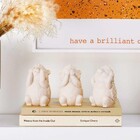 Kit Escultura Decorativa Decorativa Porco Espinho Da Sabedori