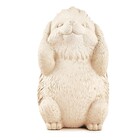 Kit Escultura Decorativa Decorativa Porco Espinho Da Sabedori