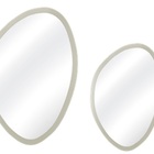 Kit Espelho Decorativo Orgânico Branco 58x70 E 43x58 Cm