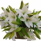 Kit Flores Artificiais Com 12 Galhos De Lírios Para Decoração