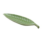Kit Folha Cerâmica Banana Leaf Verde 36x10cm 26.5x8cm Lyor