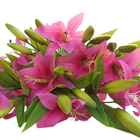 Kit Fores Artificiais Com 8 Galhos De Lírios Para Arranjos 38