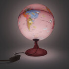 Kit Globo Led Com Figuras De Animais Pinkzoo Mapa Continente