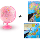 Kit Globo Led Com Figuras De Animais Pinkzoo Mapa Continente