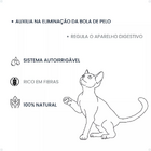 Kit Graminha Para Gato Autoirrigável Escrita My Cat - Cinza C