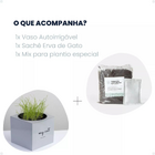 Kit Graminha Para Gato Vaso Cor Creme Autoirrigável Escrito M