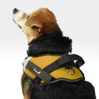 Kit Guia Hands Free E Peitoral Cross Harness Tam. M Mimo - Pp