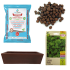 Kit Horta Plantio Fácil De Coentro E Jardineira Chocolate