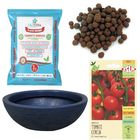 Kit Horta Plantio Fácil De Tomate Cereja E Bacia Azul