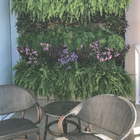 Kit Jardim Vertical 8 Módulos + Irrigação + Temporizador