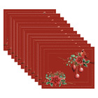 Kit Jogo Americano Natal Pássaros - 12 Peças