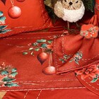 Kit Jogo Americano Natal Pássaros - 2 Peças