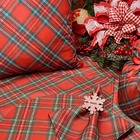 Kit Jogo Americano Natal Xadrez Vermelho/verde - 2 Peças