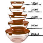 Kit Jogo De Potes 5 Tigelas Bowl Redondos Conjunto De Vidro M