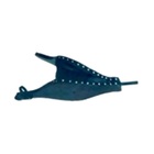 Kit Lareira Ferro Pé Aço Preta Acendedor 110 Fole Espalhador