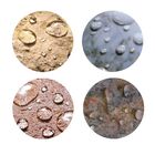 Kit Limpa Ultra Protege Acqua Removedor Cimento Selador Contr