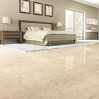 Kit Limpa Ultra Remove Sujeiras Impregnadas Protege Porcelana