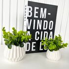 Kit Livro Caixa Porta Objetos E Dupla Vaso Branco Cerâmico