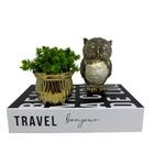 Kit Livro Decorativo, Coruja Cerâmica E Vaso Dourado