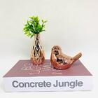 Kit Livro Decorativo, Pássaro Branco Cerâmico E Vaso Rose