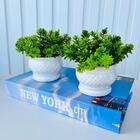 Kit Livro P/ Decorar Porta Objetos + Dupla Vaso Branco Decor