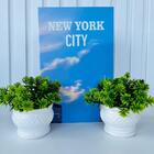 Kit Livro P/ Decorar Porta Objetos + Dupla Vaso Branco Decor