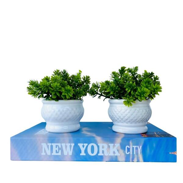 Kit Livro P/ Decorar Porta Objetos + Dupla Vaso Branco Decor