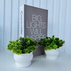 Kit Livro P/ Decorar Porta Objetos E Dupla Vaso Cor Branca