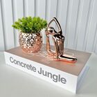 Kit Livro P/ Decorar, Vaso Rosê E Enfeite Mulher Alongando