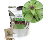 Kit - Manjericão Canela