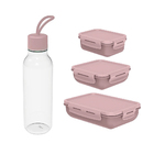 Kit Marmita Fit Squeeze Academia Lanche Office Liv Ou Rosa