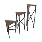 Kit Mesa Triangular Bloom