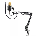 Kit Microfone Estúdio Bm800 + Pop Filter + Aranha + Braço Art