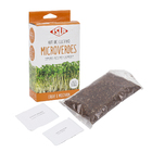 Kit Microverdes Couve e Mostarda Isla